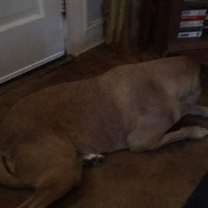 Meet your Posher, Tammy